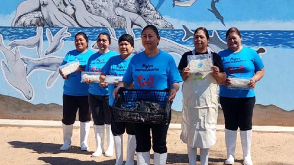 Impulsa Gobierno de Sonora el valor agregado en agrupaciones pesqueras de Caborca 